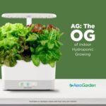AeroGarden with Gourmet Herb Seed Pod Kit - Hydroponic Indoor Garden