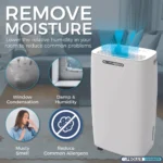 Prolux 12L Dehumidifier