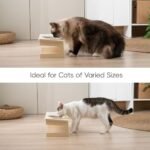 10?? Tilted Wooden Stand Elevated Cat Food and Water Bowls with Thick Ceramic