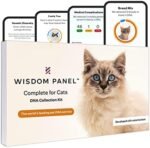 Wisdom Health Cat DNA Test: Health Breeds Traits - 1 Pack