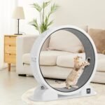 HOVONO Cat Exercise Wheel with Pedometer,10 Minutes Fast and Easy Installation