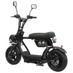 Swoop Elektro Moped Turbo 2000W Schwarz