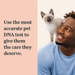Wisdom Health Cat DNA Test: Health Breeds Traits - 1 Pack
