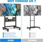 Rfiver Heavy Duty Mobile TV Stand with Silent Wheel