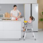 Zebrater Baby Highchair with Removable Tray