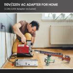 CS2 Portable PCP Air Compressor,4500Psi/30Mpa,Oil-Free,Powered by Car 12V DC or Home 110V AC with Adapter (Included),Paintball Tank Compressor with Extra Moisture-Oil Separator